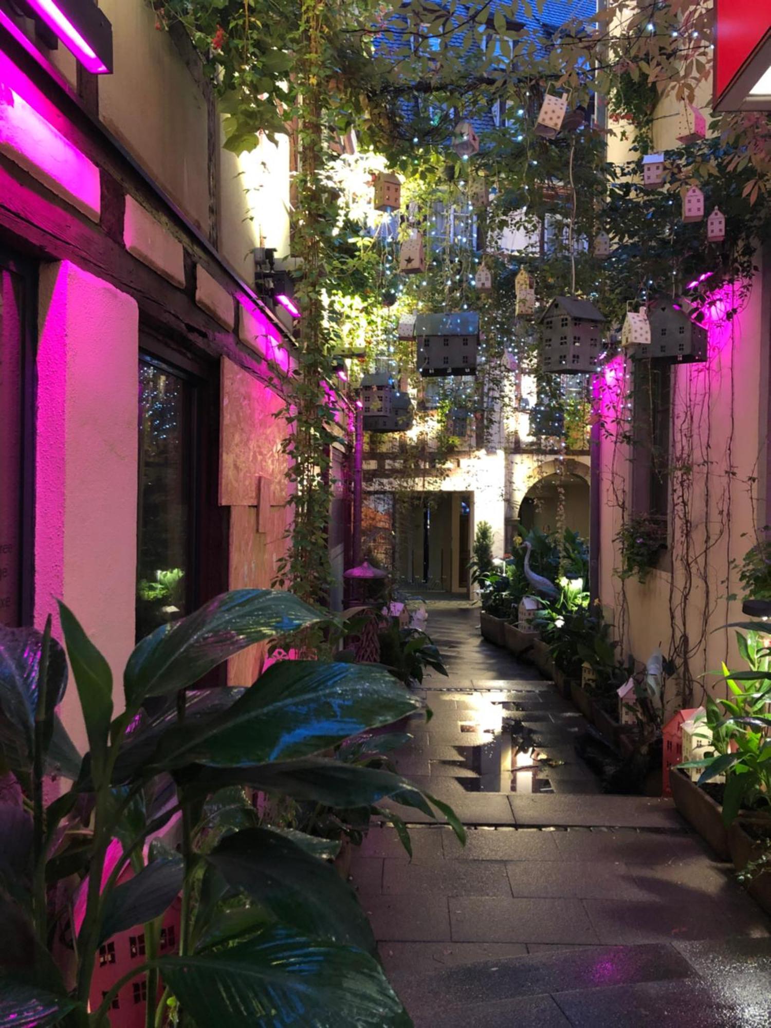 Hotel Beaucour Strasbourg Bagian luar foto
